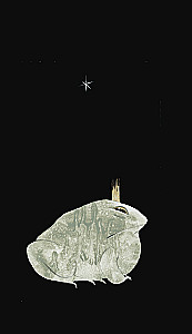 Russian Code. Tarot of Russian Classics (78 cards + guide)