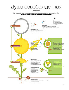 A Year of Self-Love. A Visual Guide to Improving Your Life Based on 12 Bestsellers