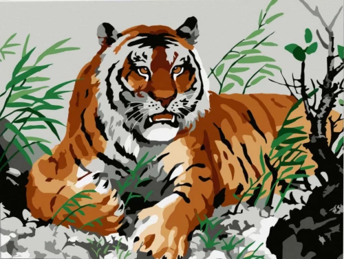 Obraz według numerów - Tygrys na wypoczynku, 15x20cm