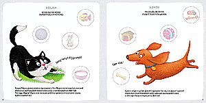 Brain Development Album. Activity Album for Brain Development (set of 2 books)