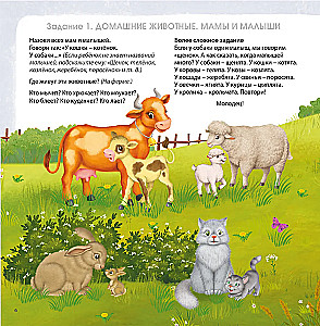 Brain Development Album 1+. Brain Development Album 3+ (set of 2 books)