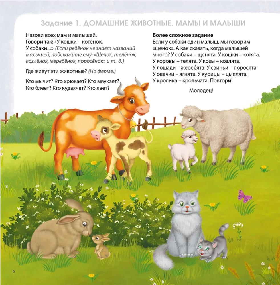 Album for Brain Development. Activity Album for Brain Development (set of 2 books)