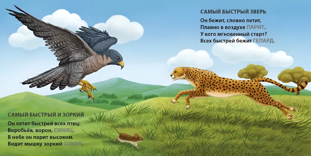 The Most-Most Animals