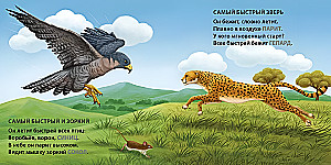 The Most-Most Animals