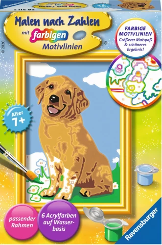 Картина по номерам 12x8,5cсм - Золотистый ретривер