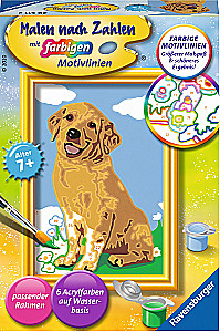 Paint by Numbers 12x8.5 cm - Golden Retriever