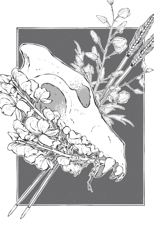 Poisons and Curses. The Shadow Life of Plants