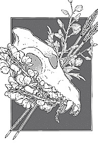 Poisons and Curses. The Shadow Life of Plants