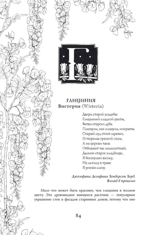 Poisons and Curses. The Shadow Life of Plants