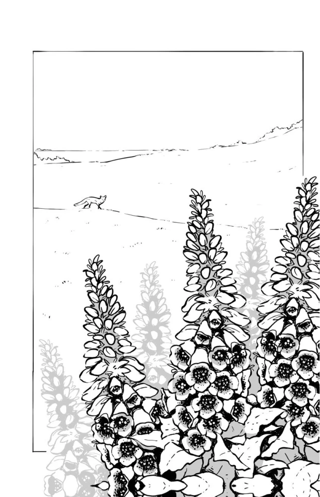 Poisons and Curses. The Shadow Life of Plants