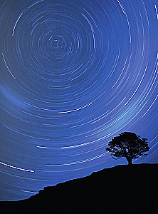 Visums. Labākais ilustrētais ceļvedis