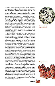 Pierwiastki chemiczne. Popularny ilustrowany przewodnik