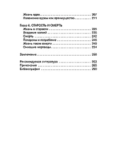 Valkyrie. Frauen in der Welt der Wikinger