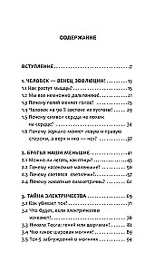 Bēniņi. Tikai fizika, tikai hardcore!