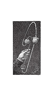 Bēniņi. Tikai fizika, tikai hardcore!