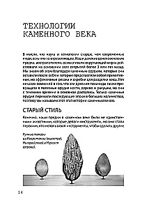 Hacking Scientific Theories