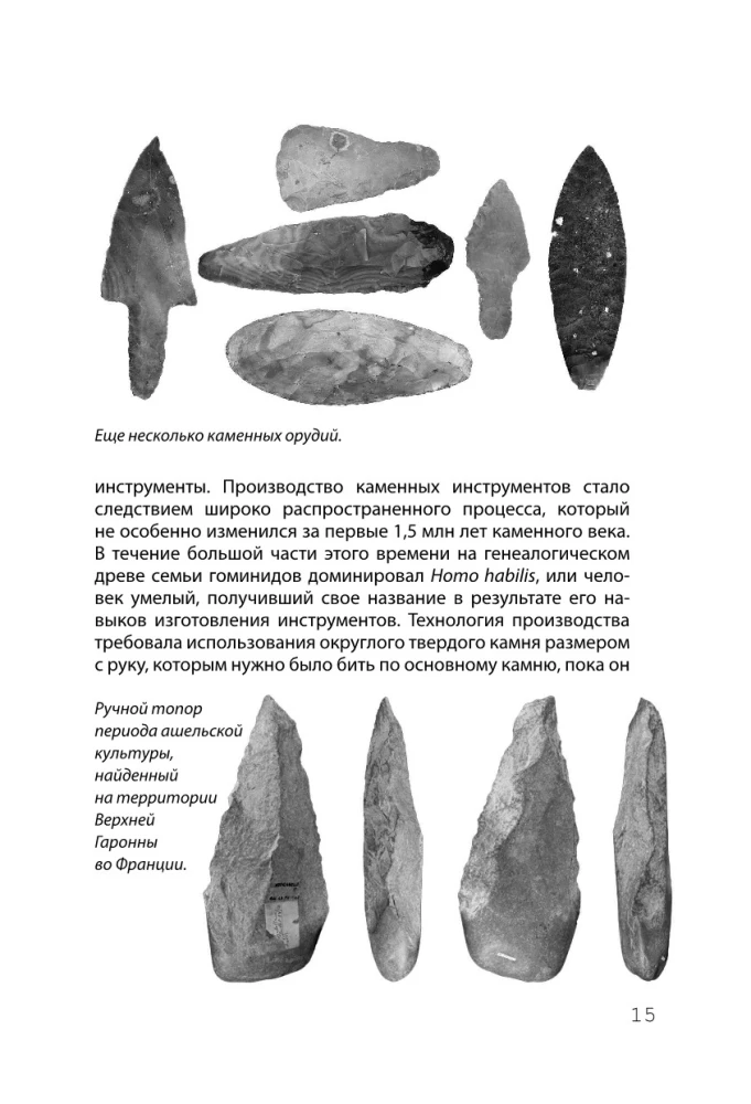 Hacking Scientific Theories