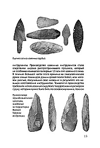 Hacking Scientific Theories