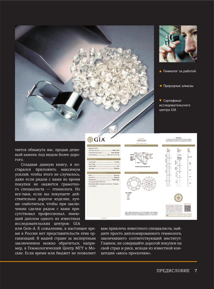 The Great Encyclopedia. Precious Stones