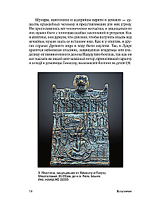 Średniowieczna magia. Wizualna historia czarownic i czarodziejów