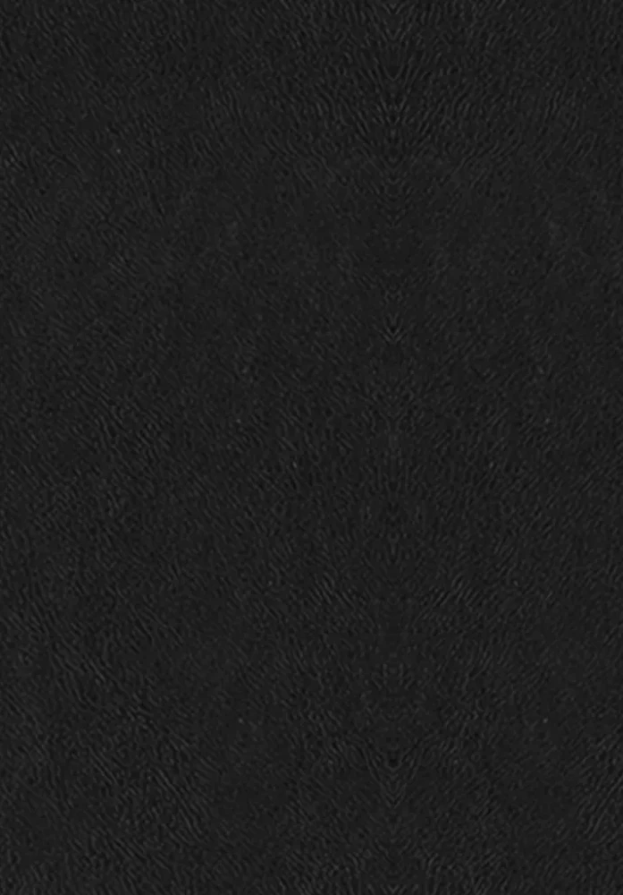 О судьбе и доблести. Александр Македонский