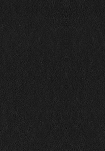 О судьбе и доблести. Александр Македонский