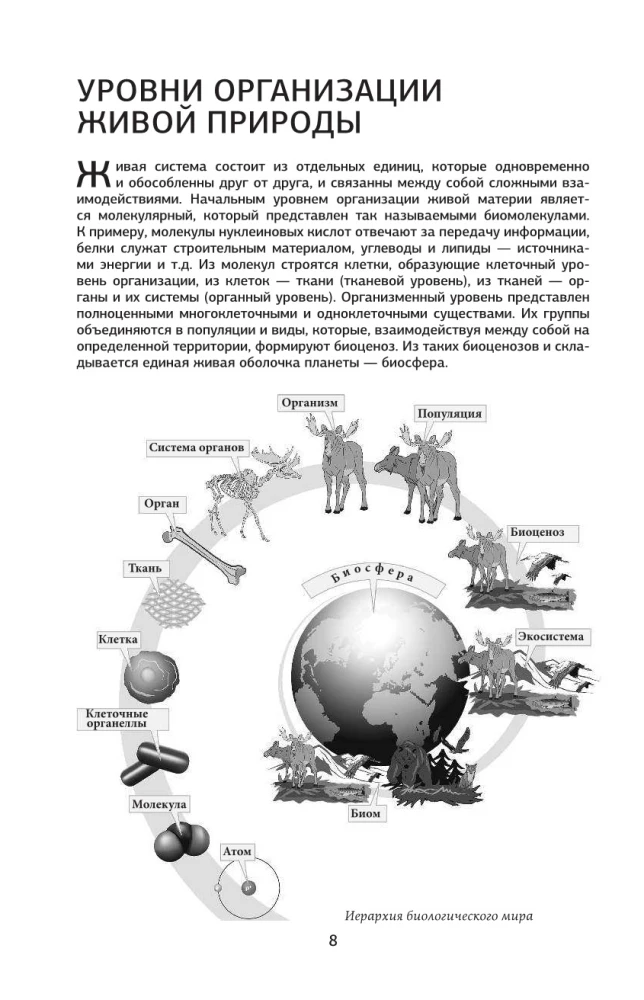 Bioloogia iga haritud inimese jaoks
