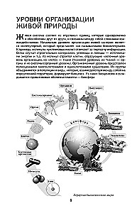 Bioloogia iga haritud inimese jaoks