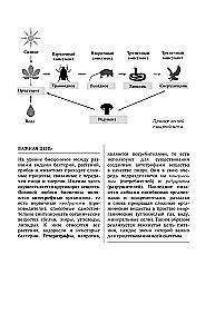 Bioloogia iga haritud inimese jaoks