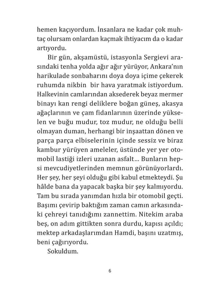 Madonna im Pelzmantel (auf Türkisch)