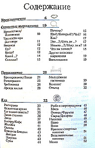 Испанский разговорник и словарь