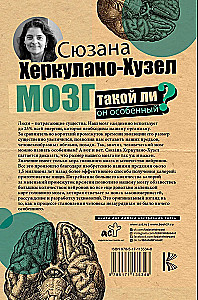 Smegenys. Ar jos tokios ypatingos?