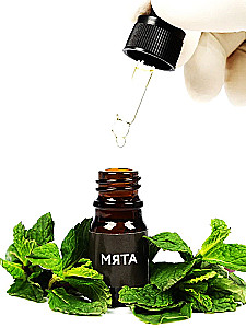 Board Game - Aromagia