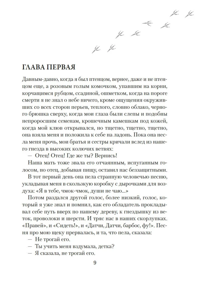 The World Through Tama's Eyes