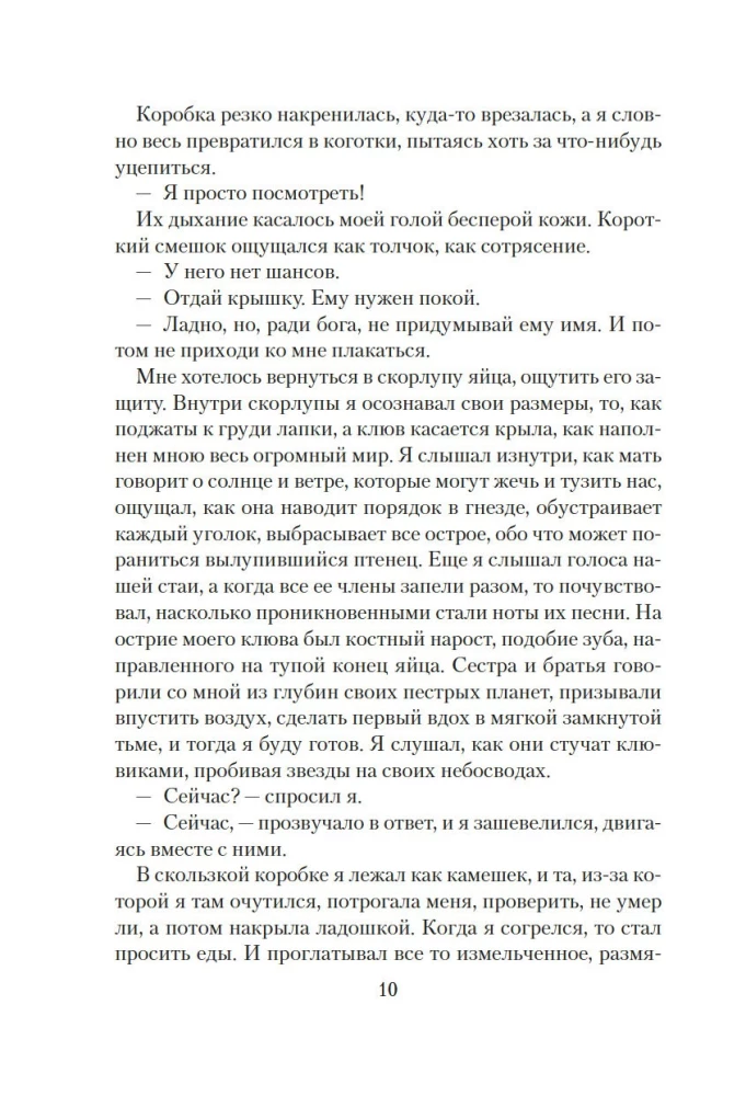 The World Through Tama's Eyes