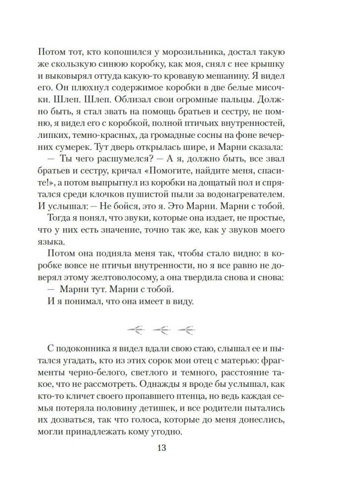 The World Through Tama's Eyes