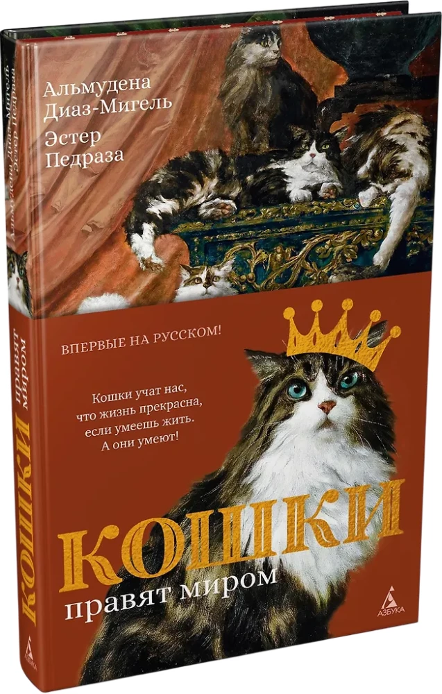 Koty rządzą światem