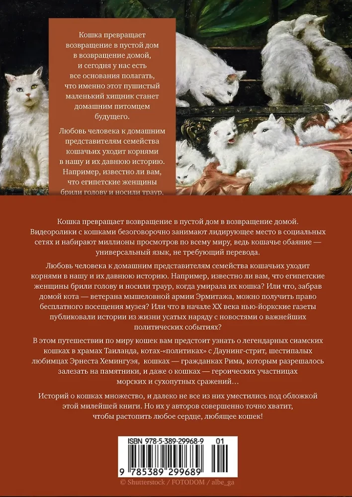 Koty rządzą światem