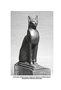 Koty rządzą światem