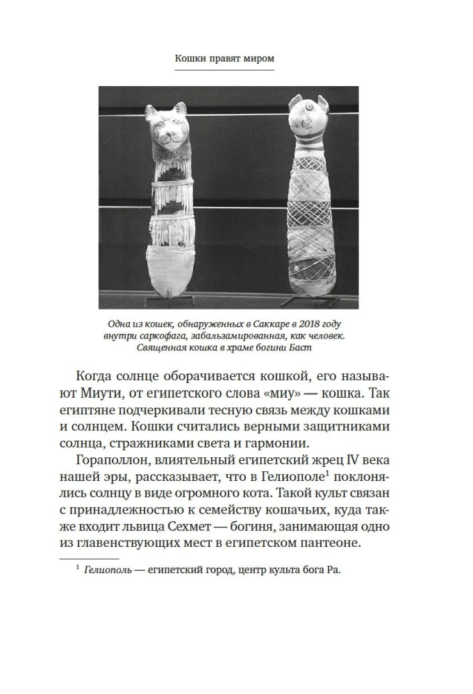 Koty rządzą światem