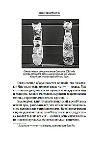 Koty rządzą światem