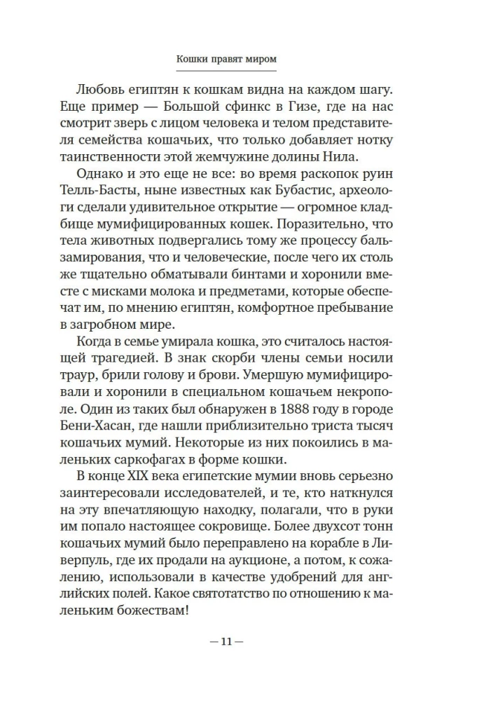 Koty rządzą światem