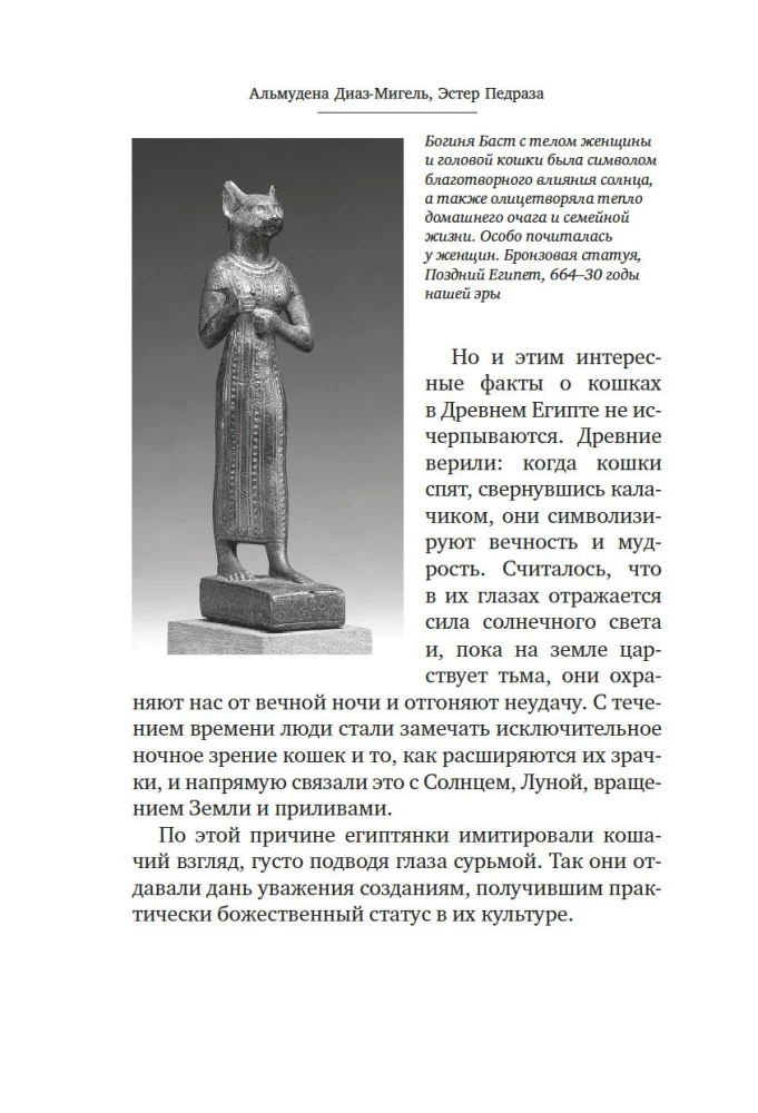 Koty rządzą światem