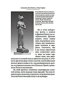 Koty rządzą światem