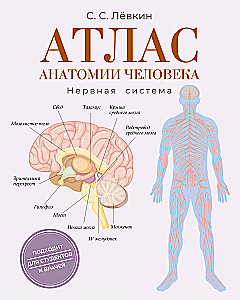 Atlas of Human Anatomy. Nervous System