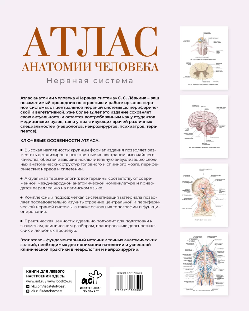 Atlas of Human Anatomy. Nervous System