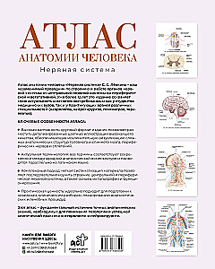 Atlas of Human Anatomy. Nervous System
