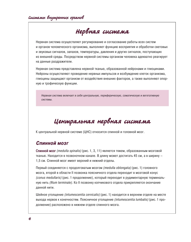 Atlas of Human Anatomy. Nervous System