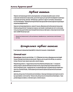 Atlas of Human Anatomy. Nervous System