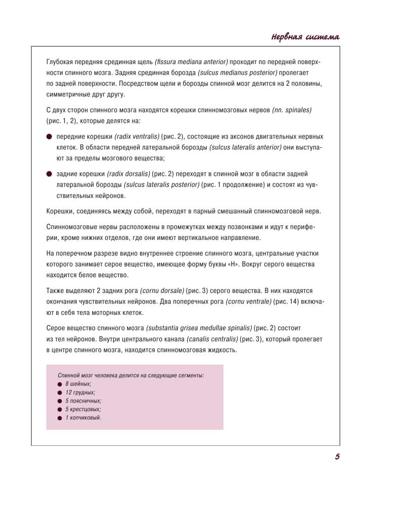 Atlas of Human Anatomy. Nervous System